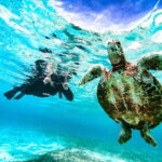 Snorkeling Activity in Okinawa Miyako Japan - Why This Tour Works for You