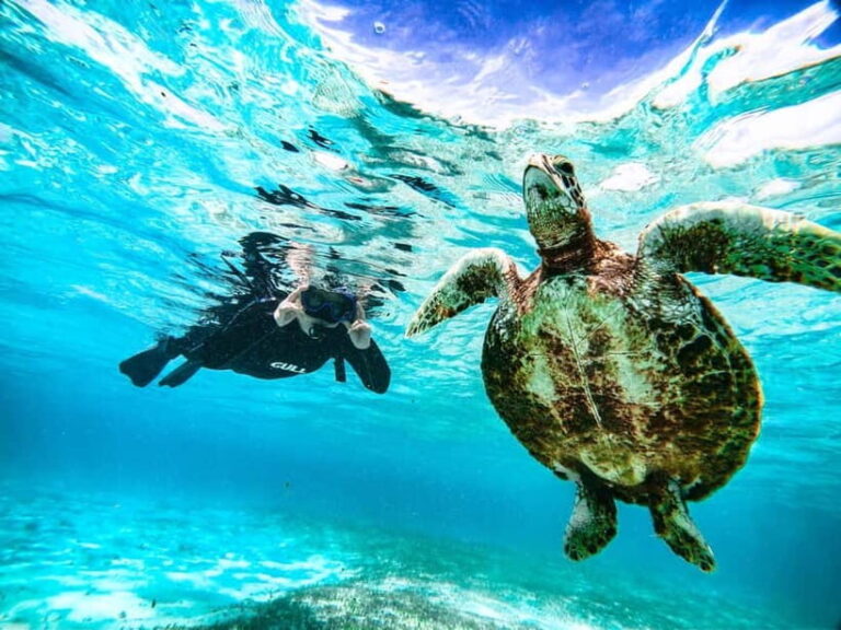 Snorkeling Activity in Okinawa Miyako Japan - Why This Tour Works for You