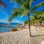 Snorkeling Adventure and Floating Bar Party in Nha Trang - The Itinerary in Detail