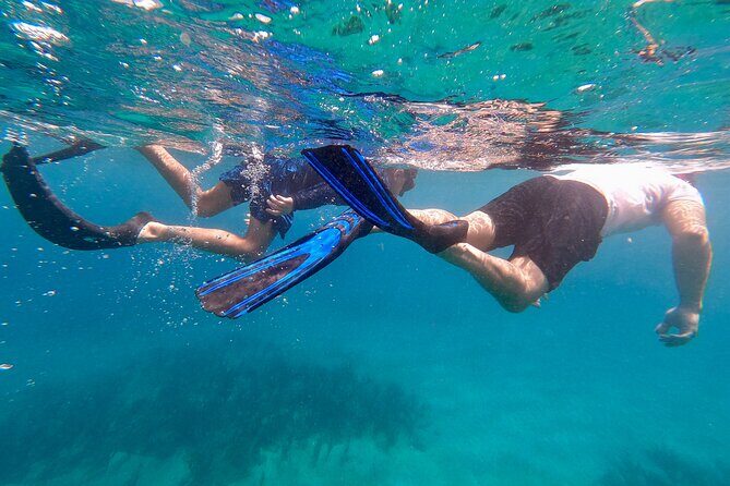 Snorkeling Aguadilla for Families with Children - Why This Tour Is a Great Choice