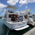 Snorkeling and Dolphin Watching with Lunch Package - The Real Deal: Insights & Tips