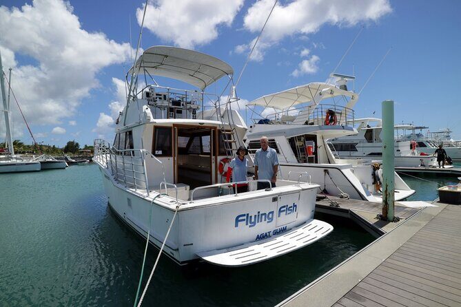 Snorkeling and Dolphin Watching with Lunch Package - The Real Deal: Insights & Tips