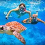 Snorkeling at Hikkaduwa - Who Should Consider This Tour?