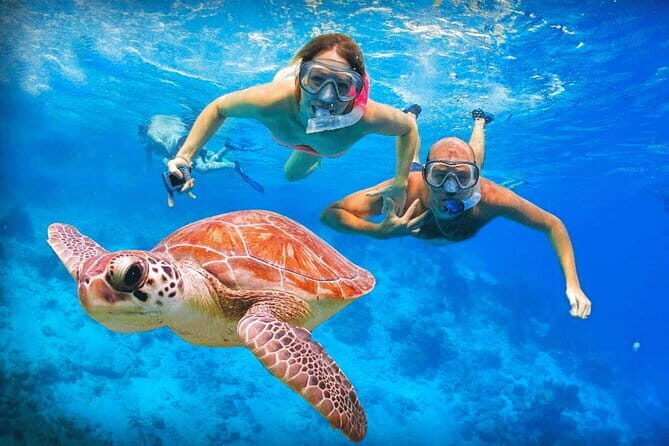 Snorkeling at Hikkaduwa - Who Should Consider This Tour?
