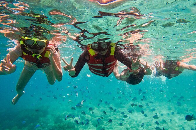 Snorkeling at Nha Trang Bay - The Experience of the Guides and Atmosphere