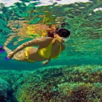 Snorkeling at Pigeon Island Trincomalee - What You Can Expect from the Tour