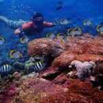 Snorkeling Day Trip To Lembongan and Penida - An In-Depth Look at the Tour Itinerary