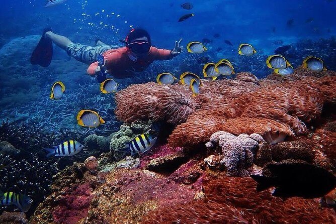 Snorkeling Day Trip To Lembongan and Penida - An In-Depth Look at the Tour Itinerary