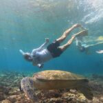 Snorkeling Experience in Nusa Penida with 4 Snorkeling Spots - Practical Details and Tips