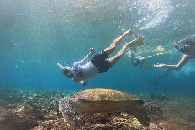 Snorkeling Experience in Nusa Penida with 4 Snorkeling Spots - Practical Details and Tips