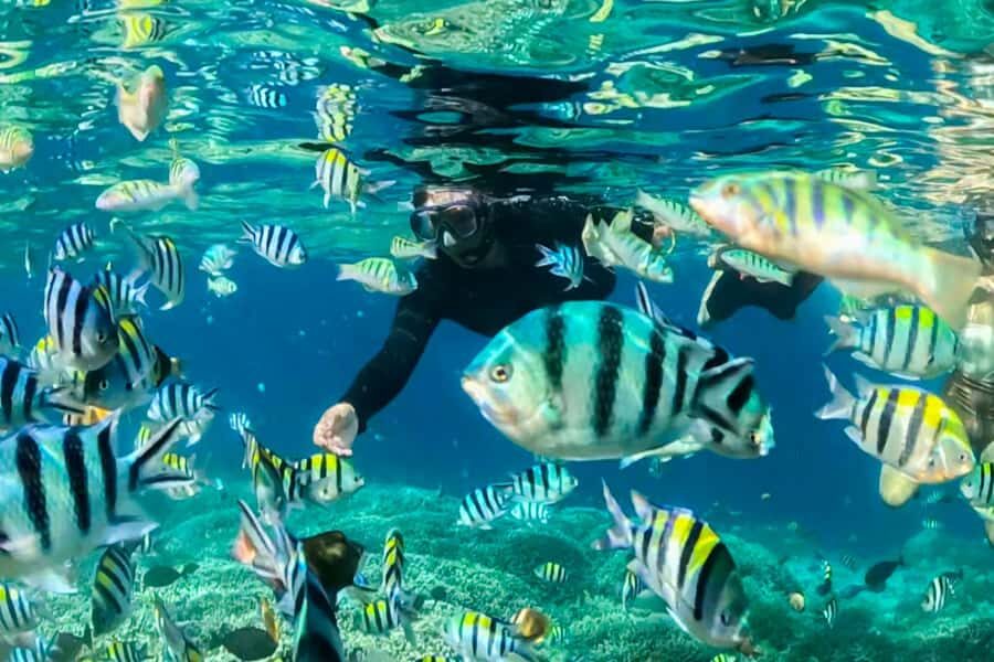 Snorkeling from Gili Trawangan: Private Group 4-Hour Trip - Exploring the Itinerary