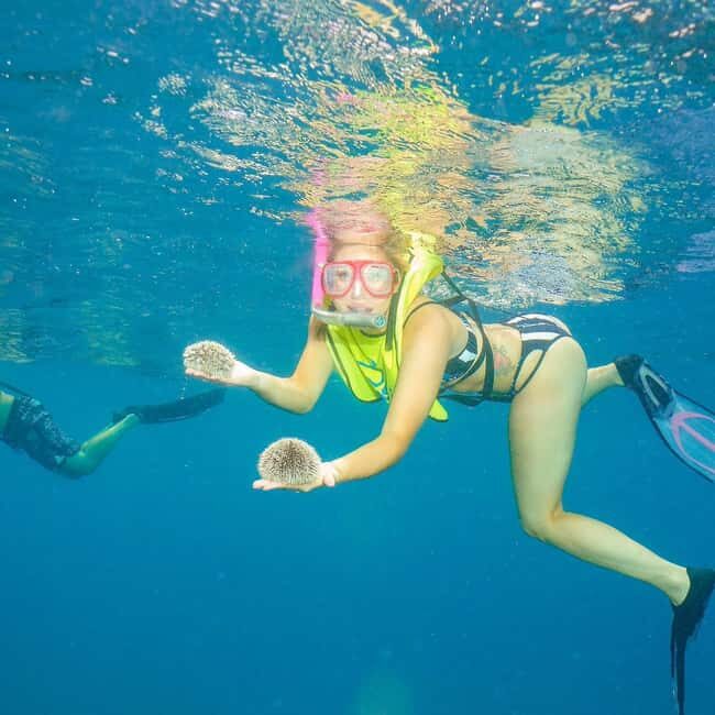 Snorkeling in Montego Bay with Transportation - What Makes the Snorkeling in Montego Bay Special?