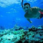 Snorkeling in Port City - Who Will Love This Tour?
