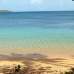 Snorkeling Lesson & Interactive Experience for Kids and Adults - Authentic Feedback: What Real Travelers Say