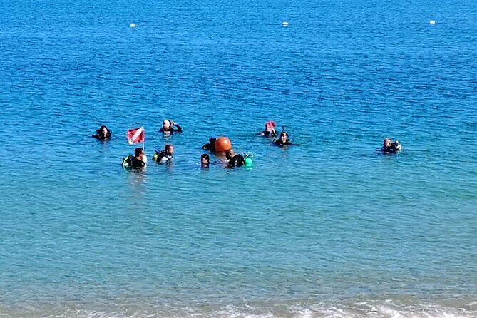 Snorkeling Tour at Cerro Gordo Beach Vega Alta Puerto Rico - Who Should Consider This Tour?