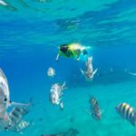 Snorkeling Tour & Sosua Beach Day - What to Expect from the Sosua Snorkeling Tour