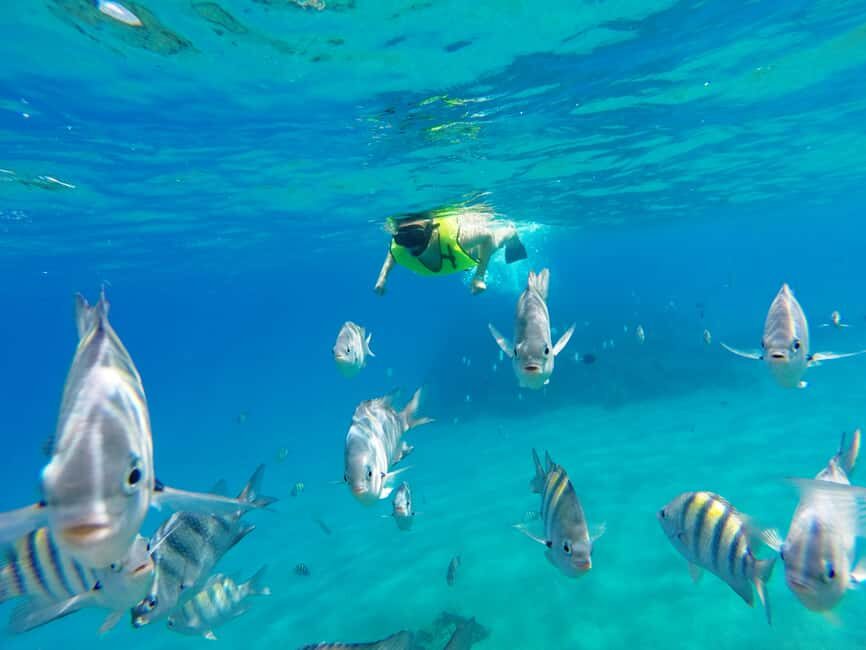 Snorkeling Tour & Sosua Beach Day - What to Expect from the Sosua Snorkeling Tour