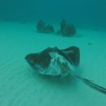 Snorkeling Tour (with Light Refreshments) - Equipment and Comfort