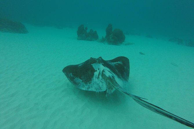 Snorkeling Tour (with Light Refreshments) - Equipment and Comfort