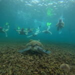 Snorkeling Tour with meals and BBQs - Cocktail - Sunset - An Itinerary That Balances Adventure and Relaxation