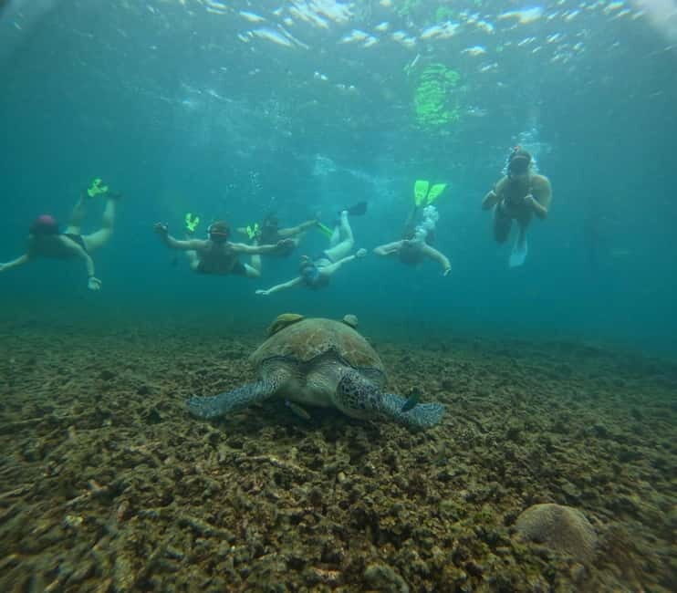 Snorkeling Tour with meals and BBQs - Cocktail - Sunset - Why This Tour Stands Out