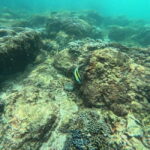 Snorkeling Trip To Angel Rock - Why This Tour Stands Out