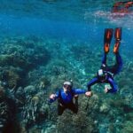 Snorkeling Water Private Activity In Montego Bay Jamaica - Why This Tour Offers Real Value