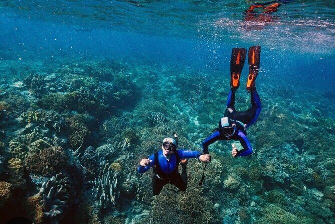 Snorkeling Water Private Activity In Montego Bay Jamaica - Why This Tour Offers Real Value