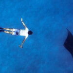 Snorkeling with Manta Rays from Maafushi - Practical Aspects and Value
