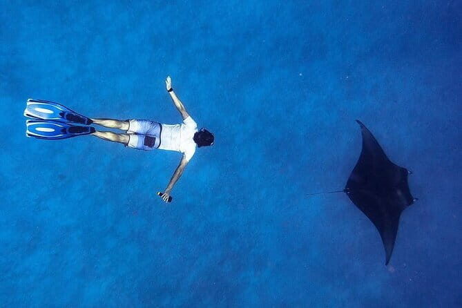 Snorkeling with Manta Rays from Maafushi - Practical Aspects and Value