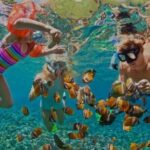 Snorkeling with Margaritaville and shops on Hipstrip activity - What You Can Expect from the Tour
