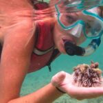 Snorkeling with Sea Turtles at St. Thomas - Who Will Love This Tour?