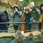 Snow Monkey, Hokusai & Sake: A Perfect Day in Nagano - Practical Tips and Considerations