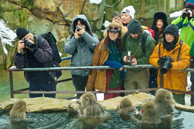 Snow Monkey, Hokusai & Sake: A Perfect Day in Nagano - Practical Tips and Considerations