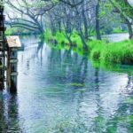 Snow Monkey Park and Zenko ji Temple Private Day Tour - Final Thoughts: Is This Tour Right for You?