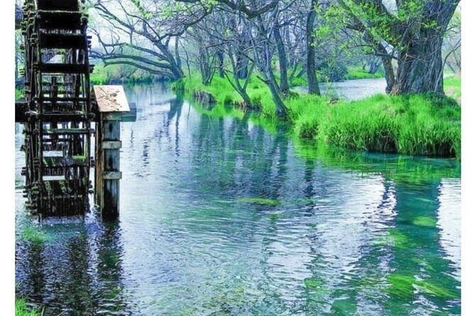 Snow Monkey Park and Zenko ji Temple Private Day Tour - Final Thoughts: Is This Tour Right for You?