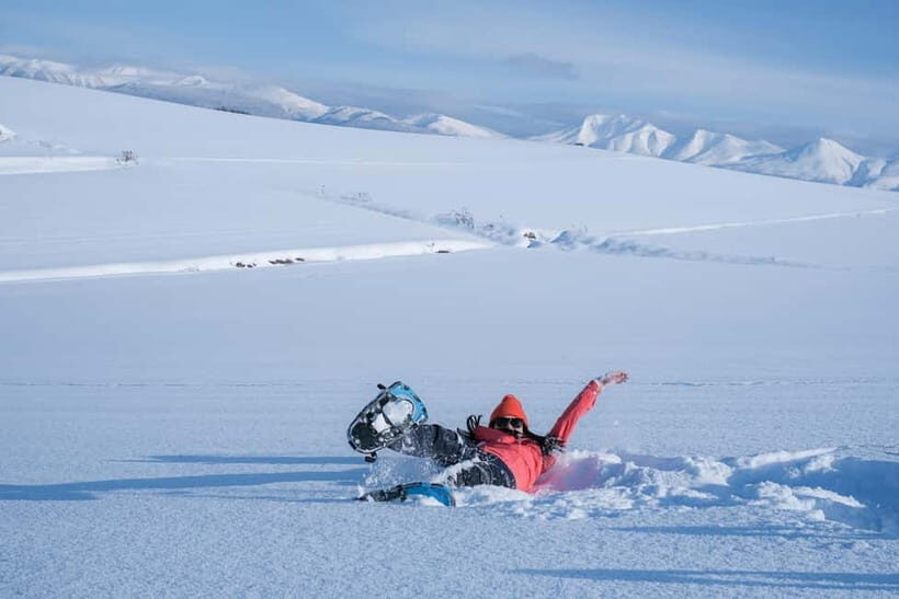 Snowshoeing on a Sparkling Biei Hill & Winter Cafe Time - What to Expect from the Tour