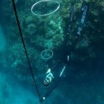 Son Tra Snorkeling Adventure with traditional boat - Authentic Experiences & Insights from Past Travelers