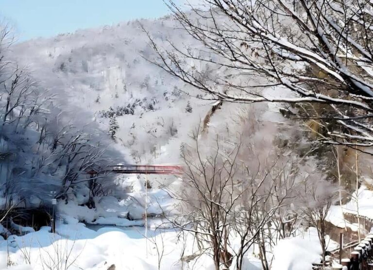 Sopporo: Hokkaido Shrine and Atama Daibutsu Full-Day Tour - What Makes This Tour Stand Out?