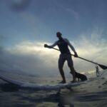 Sosua 2-Hour Stand Up Paddle Boarding - The Experience: What to Expect