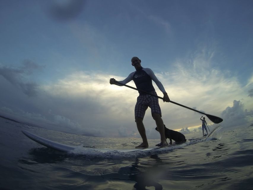 Sosua 2-Hour Stand Up Paddle Boarding - The Experience: What to Expect