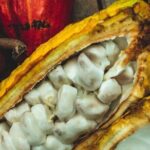 Soufriere vibes Tour ( pick up Rodney bay,St.Lucia) - Chocolate Making at Hotel Chocolat