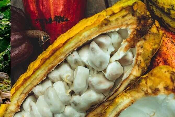 Soufriere vibes Tour ( pick up Rodney bay,St.Lucia) - Chocolate Making at Hotel Chocolat