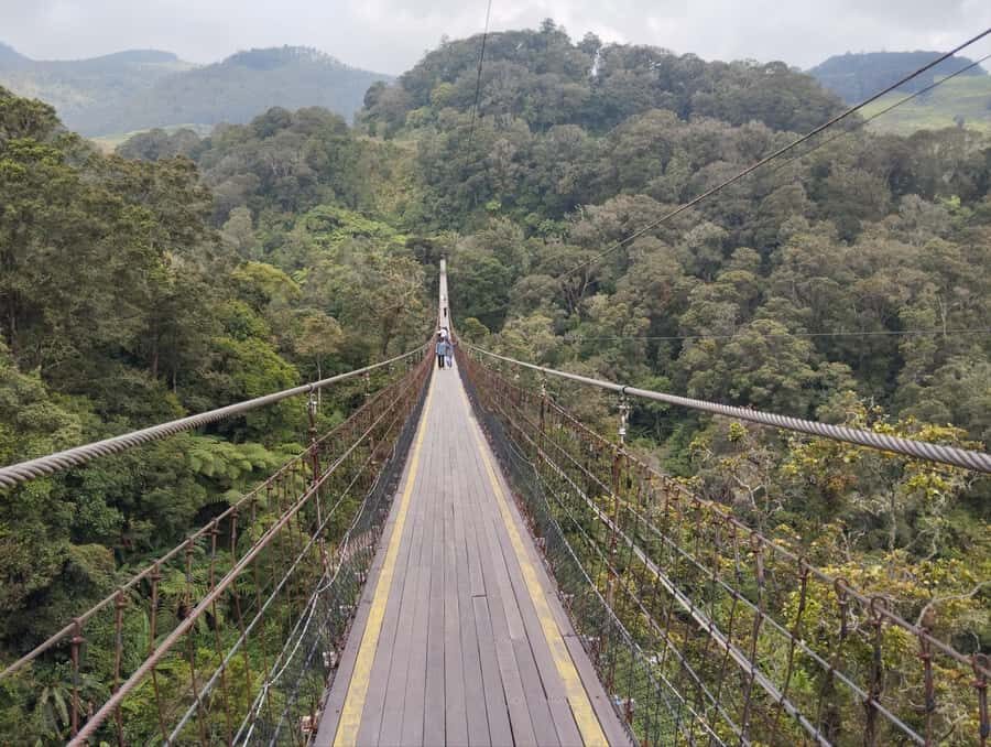 SOUTH BANDUNG CUSTOMIZED TOUR : CIWIDEY/PENGALENGAN - Exploring the Itinerary in Detail