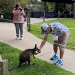 South Coast Private Daily Group Tour - Pick up & Drop off - Who Would Love This Tour?