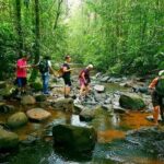 South Coast: Sinharaja Rainforest Walk and Waterfall - Why This Tour Delivers Real Value
