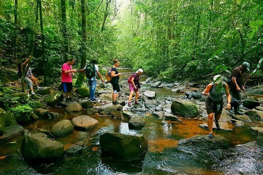South Coast: Sinharaja Rainforest Walk and Waterfall - Why This Tour Delivers Real Value
