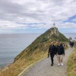 South Island Highlights: 9-Day New Zealand Adventure - What This Tour Means for You