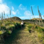 South Molle Island Self Guided Walking Tour - The Experience of the Transfer and Scheduling