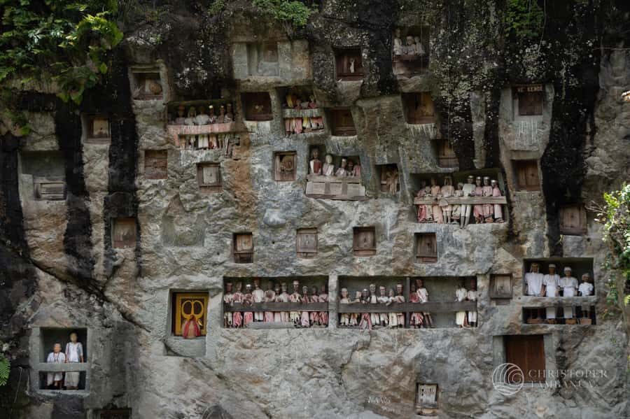 South Sulawesi, Toraja: Multiday Cultural Tour from Makassar - Who Should Consider This Tour?